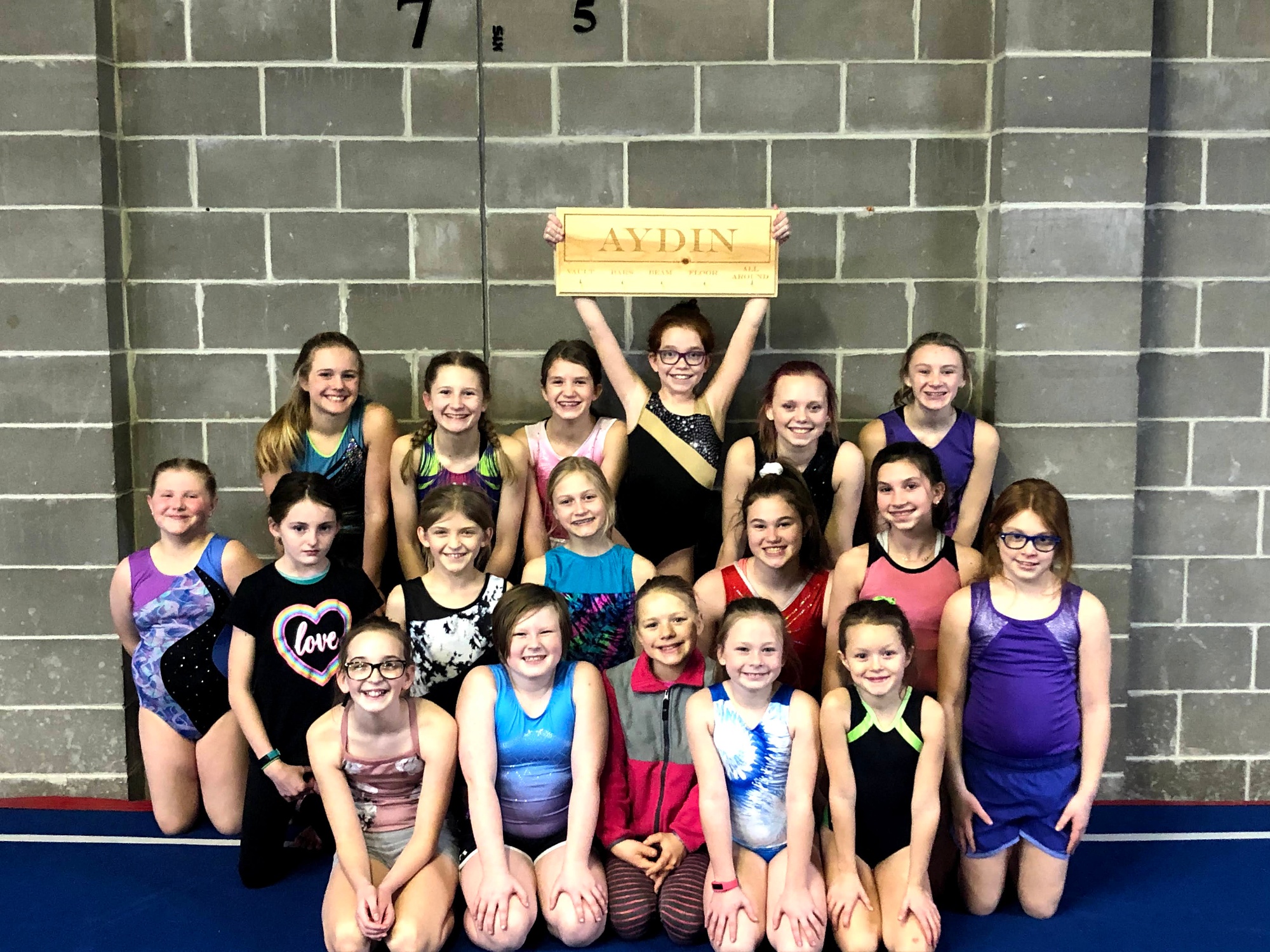 Phoenix Gymnastics Club Home